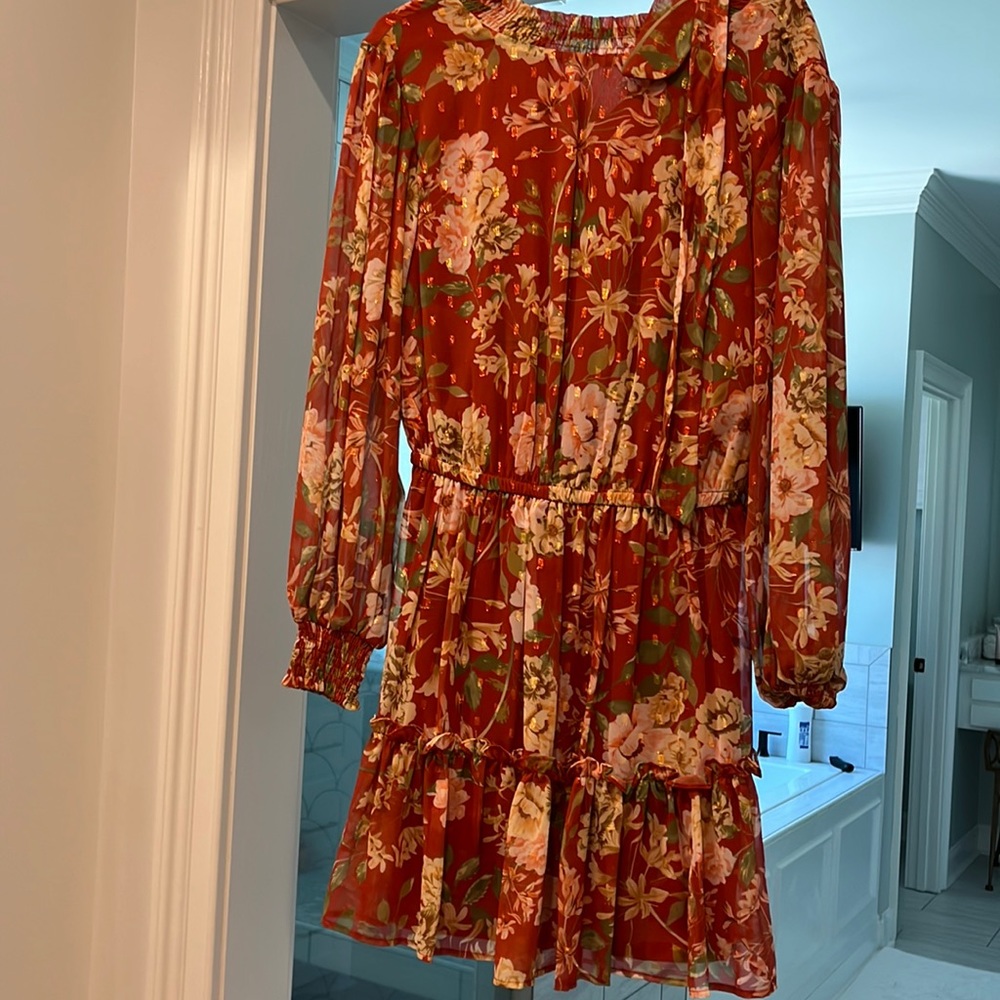 Brand new long sleeve dress